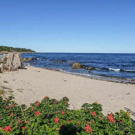 Amazing In With House Sea View Apartamento Allinge-Sandvig